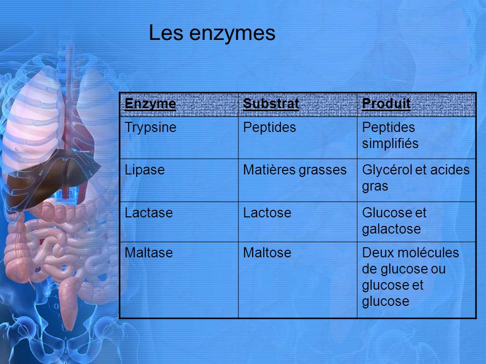 Les enzymes Enzyme Substrat Produit Trypsine Peptides