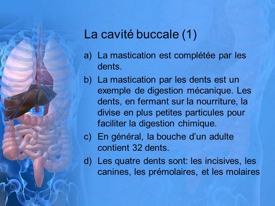 La cavité buccale (1) La mastication est complétée par les dents.