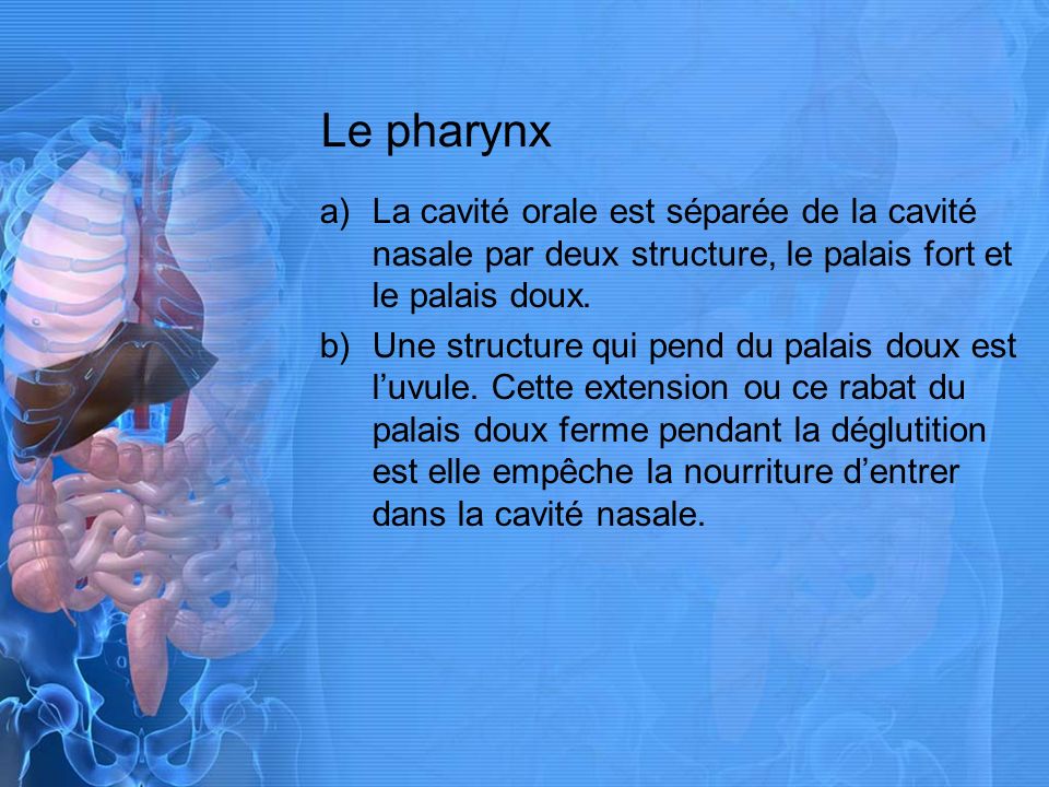Le pharynx La cavité orale est séparée de la cavité nasale par deux structure, le palais fort et le palais doux.