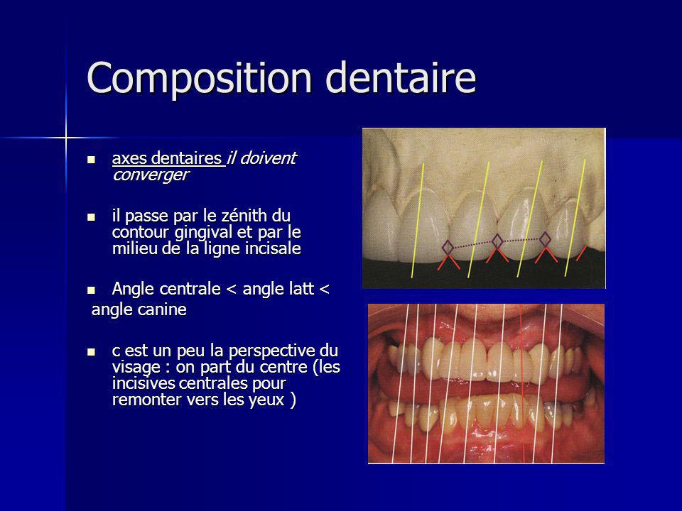 Composition dentaire axes dentaires il doivent converger