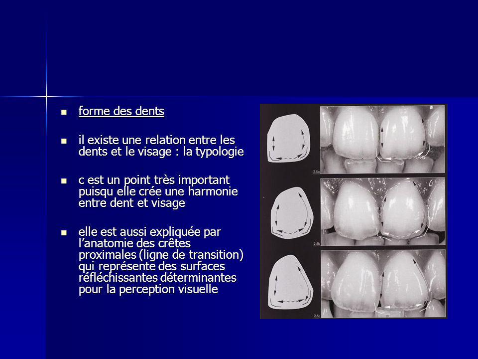 forme des dents il existe une relation entre les dents et le visage : la typologie.