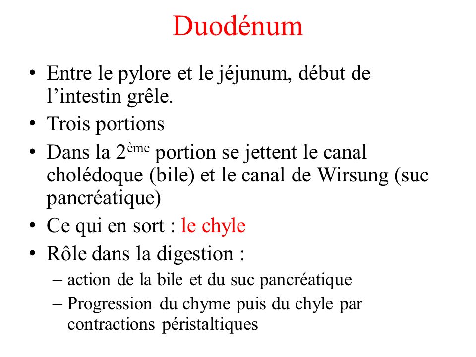 Duodénum Entre le pylore et le jéjunum, début de l’intestin grêle.