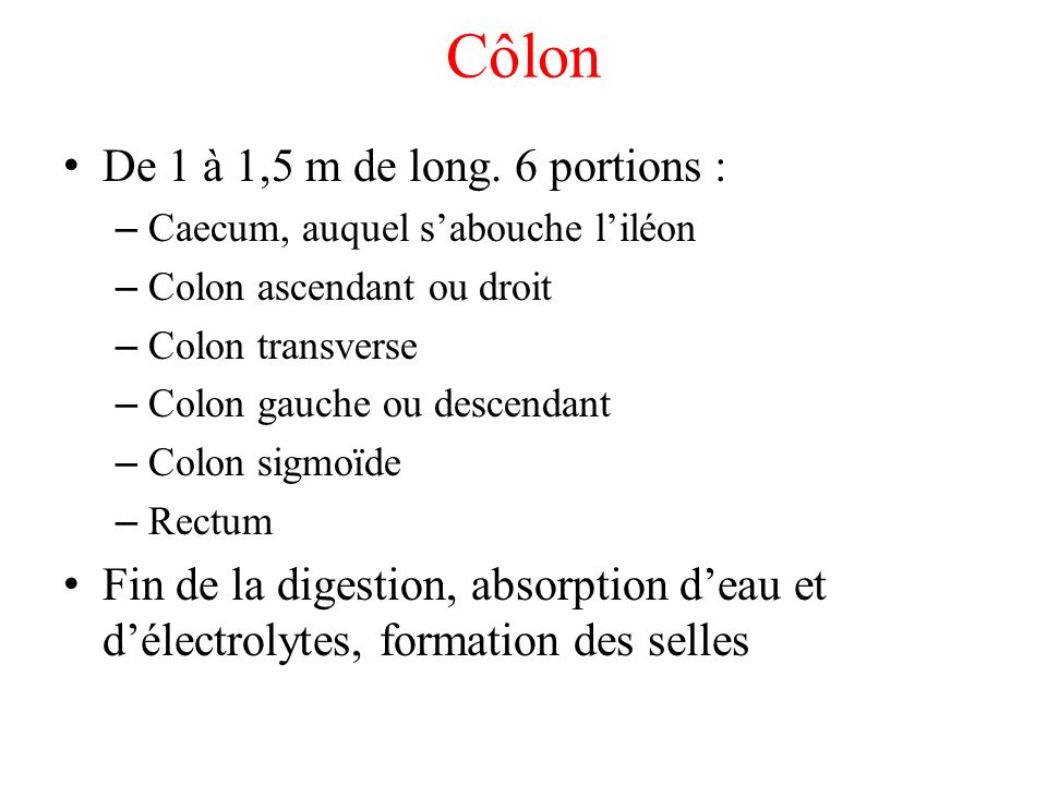 Côlon De 1 à 1,5 m de long. 6 portions :