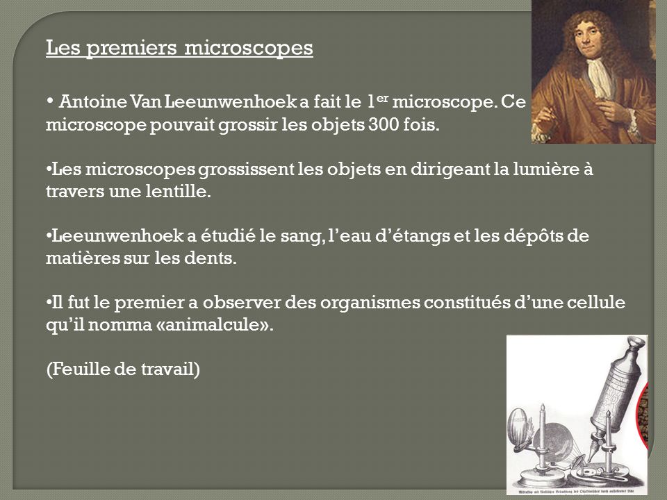 Les premiers microscopes