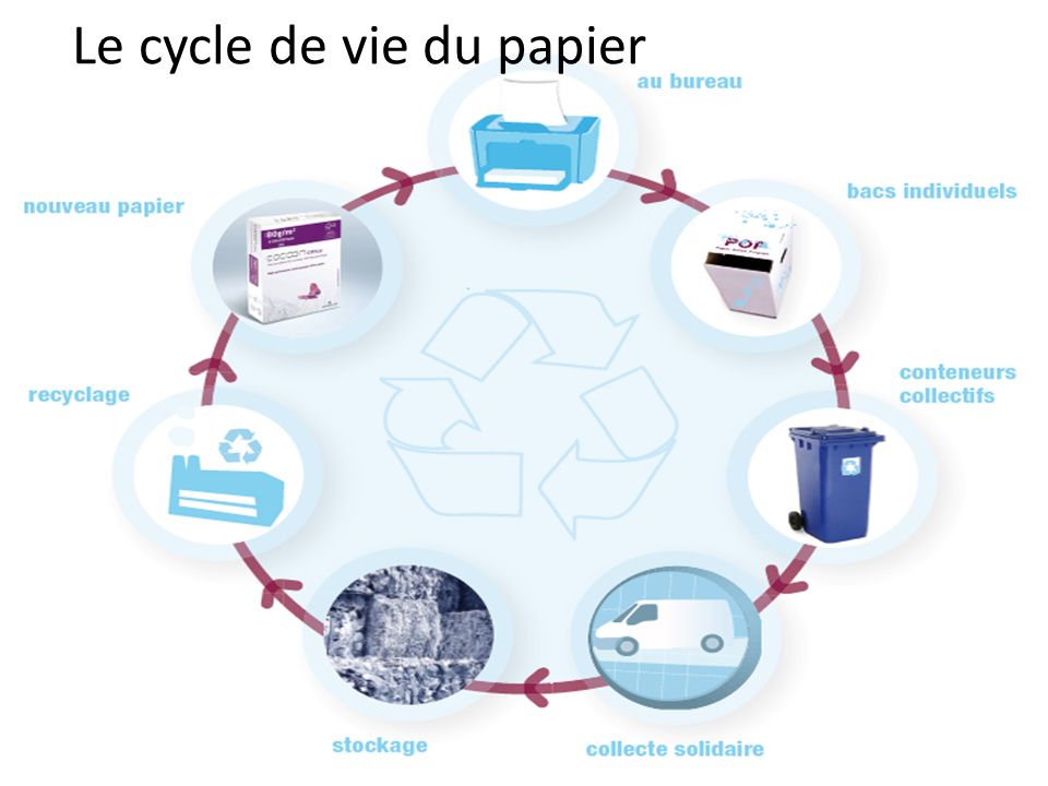 Le cycle de vie du papier