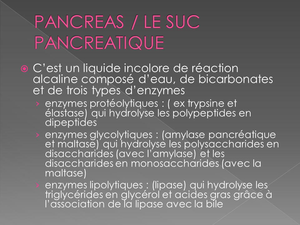 PANCREAS / LE SUC PANCREATIQUE