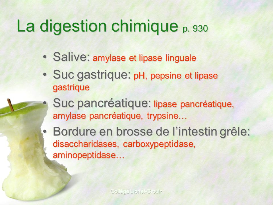 La digestion chimique p. 930