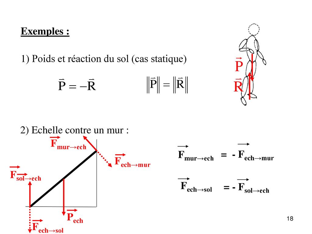 Exemples : 1) Poids et réaction du sol (cas statique) 2) Echelle contre un mur : Fmur→ech. Fmur→ech.
