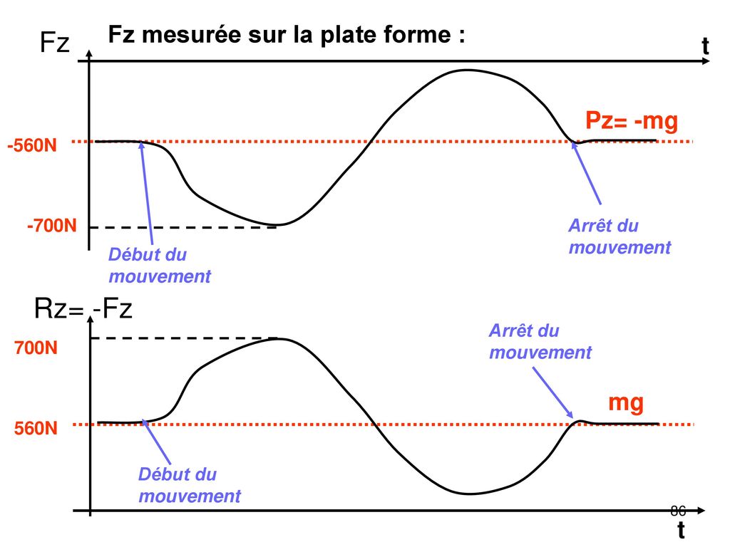 Fz Rz= -Fz Fz mesurée sur la plate forme : t Pz= -mg mg t -560N -700N