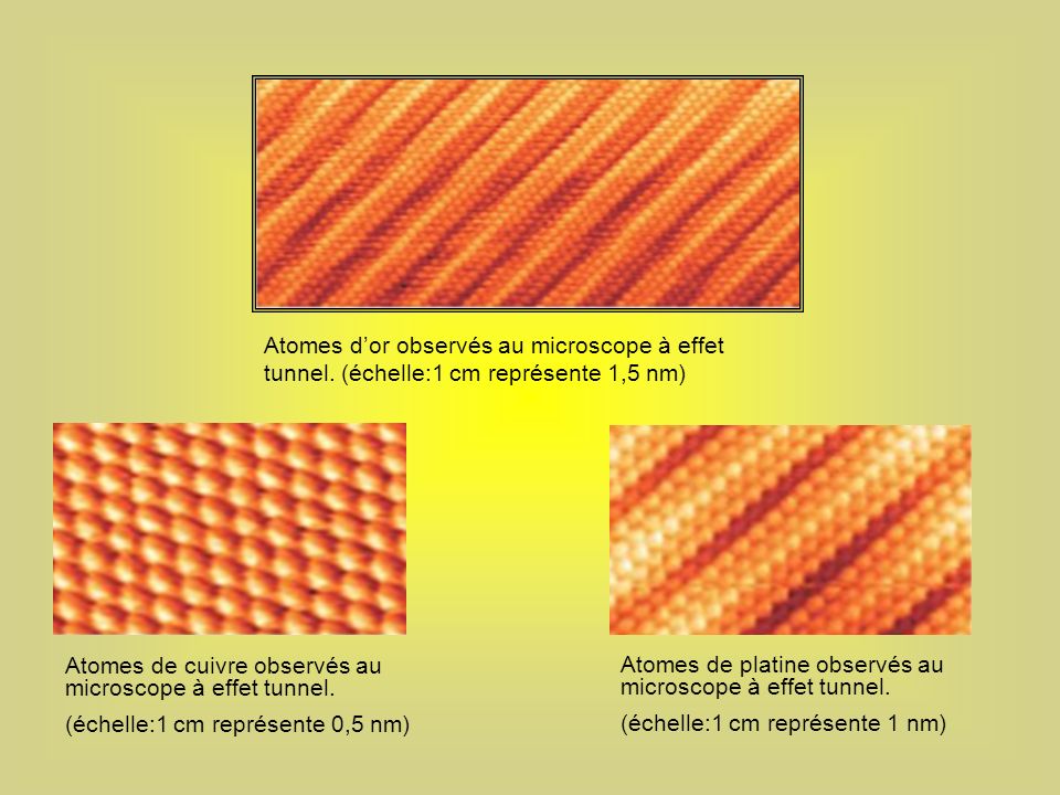 Atomes d’or observés au microscope à effet tunnel