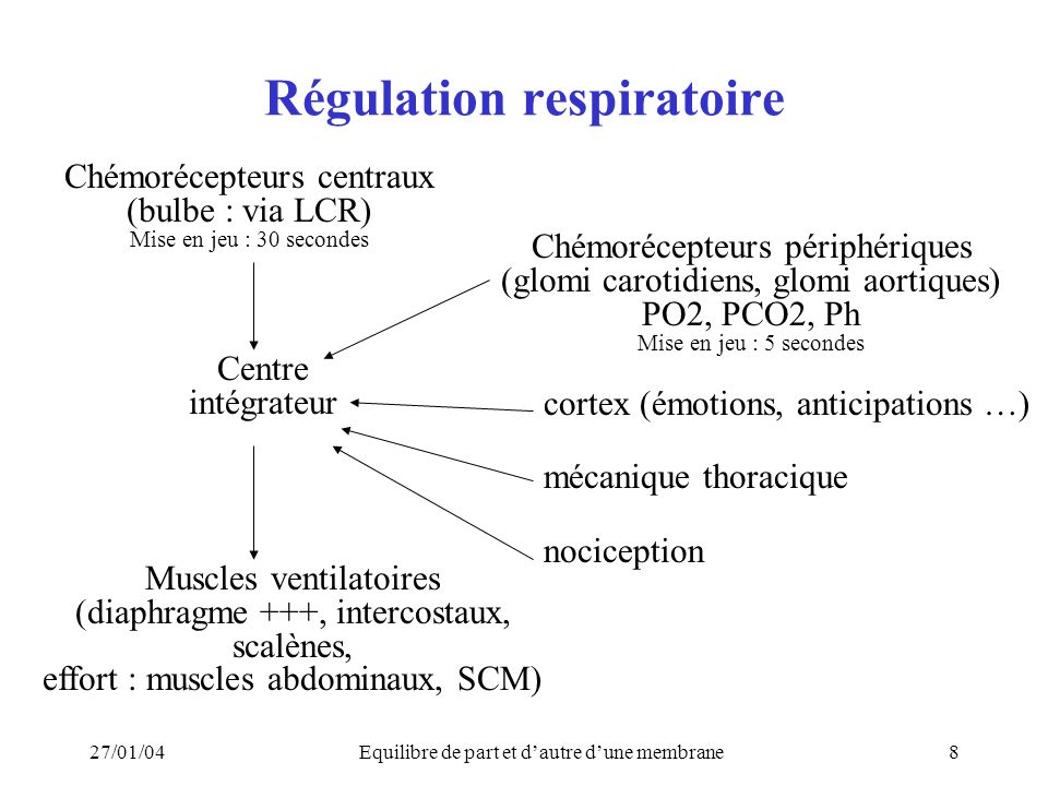 Régulation respiratoire