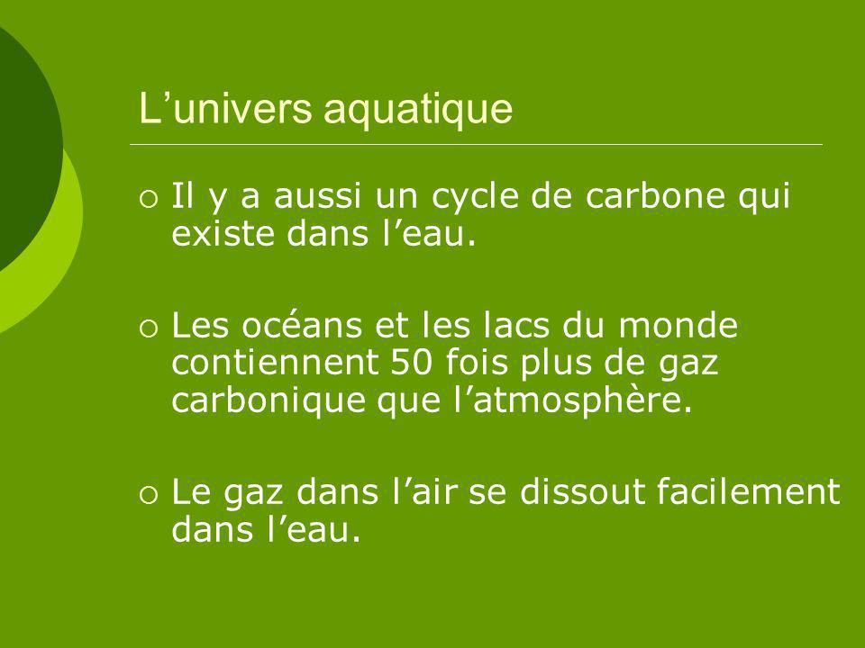 L’univers aquatique Il y a aussi un cycle de carbone qui existe dans l’eau.