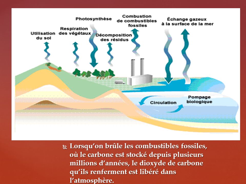 Lorsqu’on brûle les combustibles fossiles, où le carbone est stocké depuis plusieurs millions d’années, le dioxyde de carbone qu’ils renferment est libéré dans l’atmosphère.