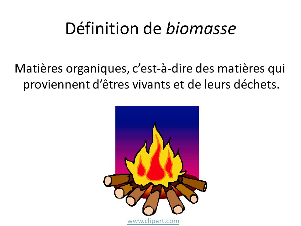 Définition de biomasse