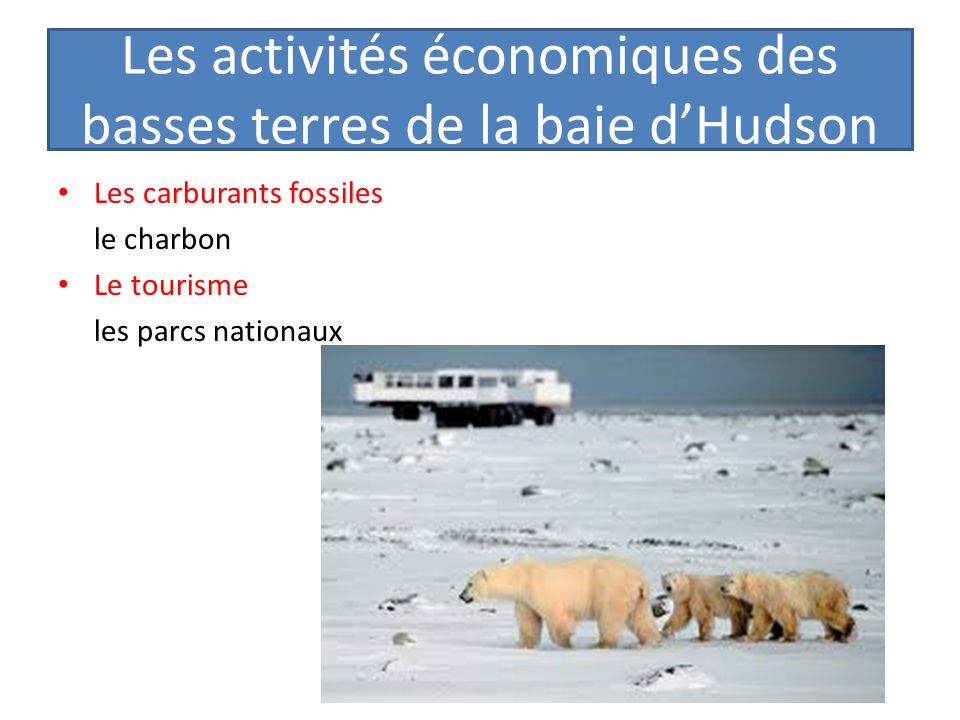Les activités économiques des basses terres de la baie d’Hudson