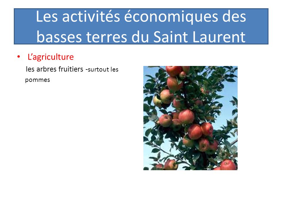 Les activités économiques des basses terres du Saint Laurent