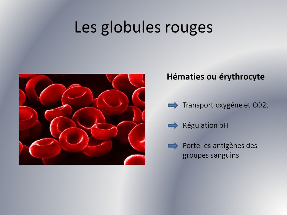 Les globules rouges Hématies ou érythrocyte Transport oxygène et CO2.
