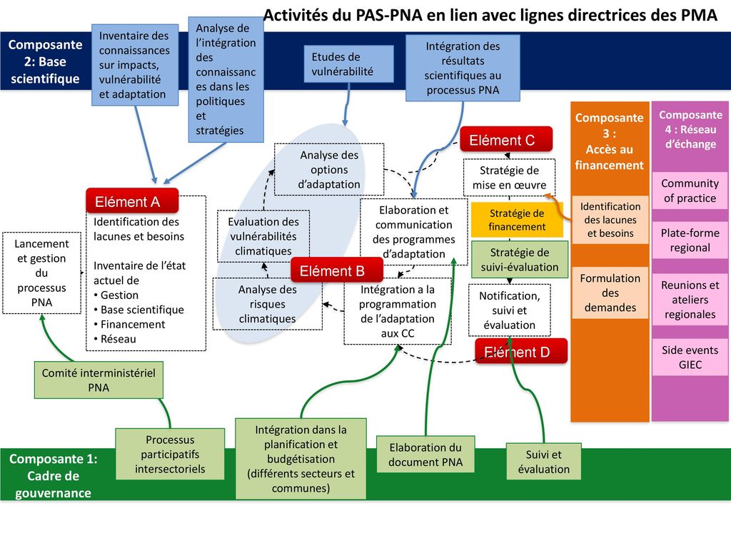 Activités du PAS-PNA en lien avec lignes directrices des PMA