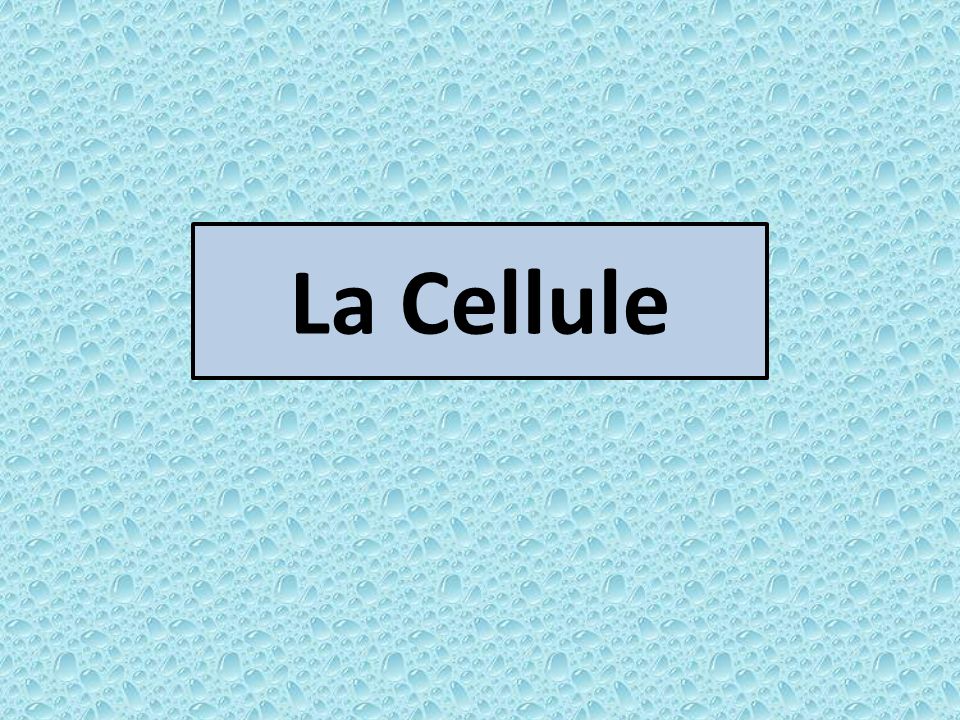La Cellule