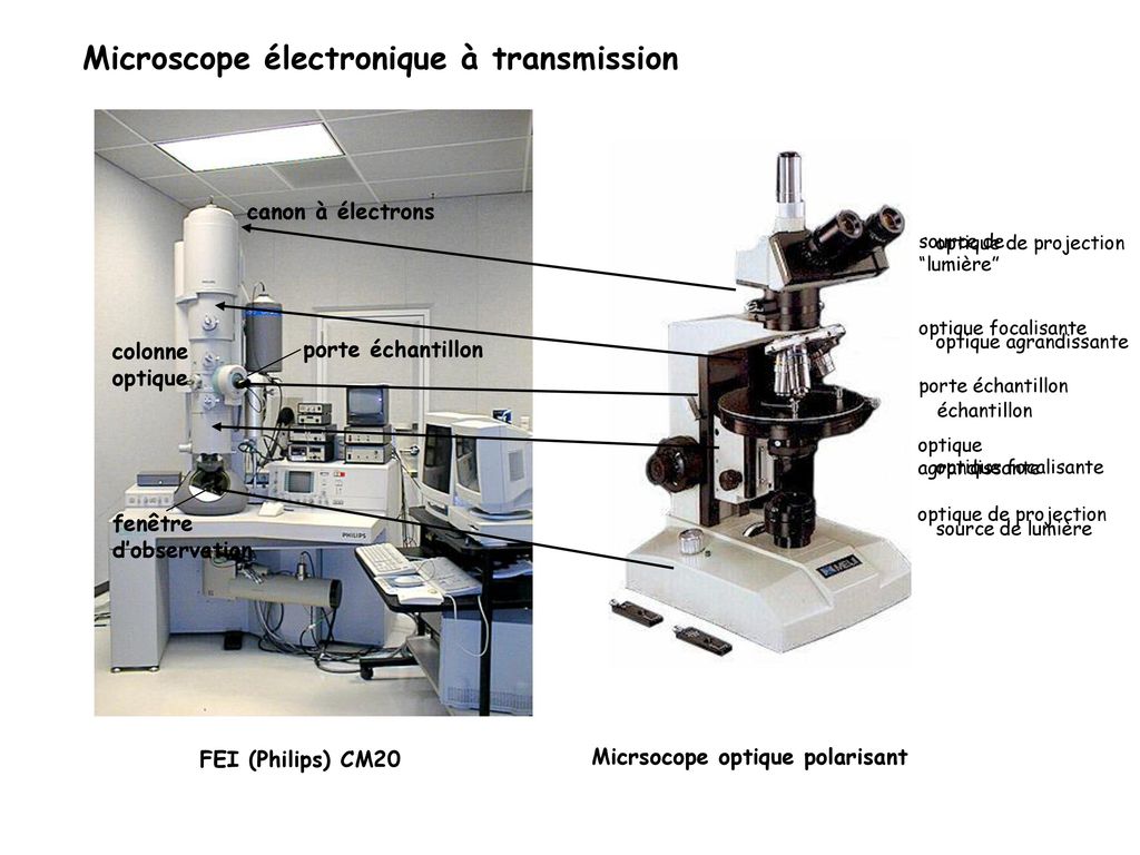 Microscopie électronique - ppt télécharger