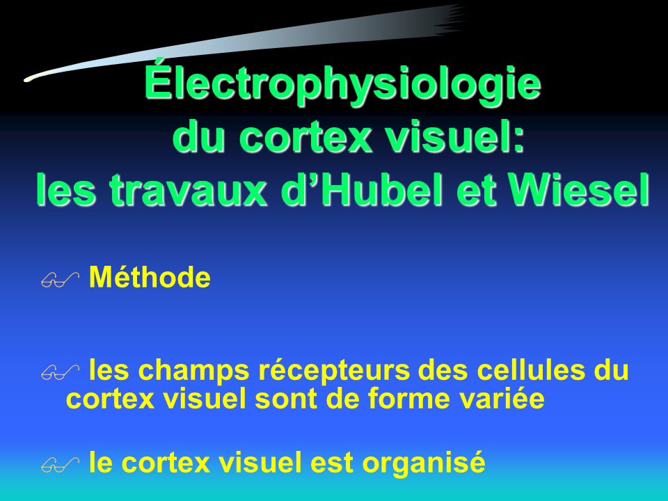 Électrophysiologie du cortex visuel: les travaux d’Hubel et Wiesel