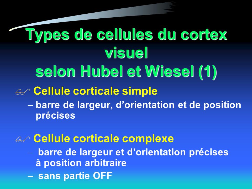 Types de cellules du cortex visuel selon Hubel et Wiesel (1)
