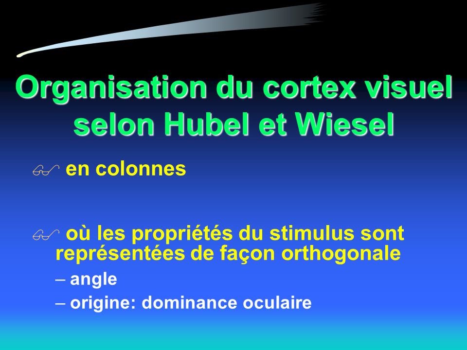 Organisation du cortex visuel selon Hubel et Wiesel