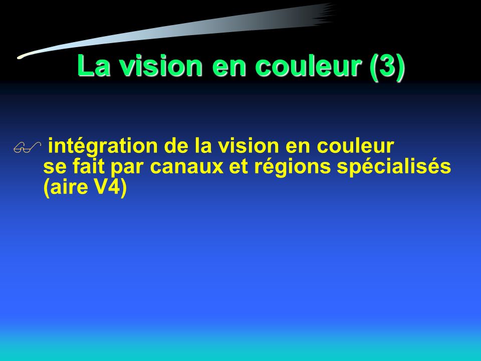 La vision en couleur (3) intégration de la vision en couleur se fait par canaux et régions spécialisés (aire V4)