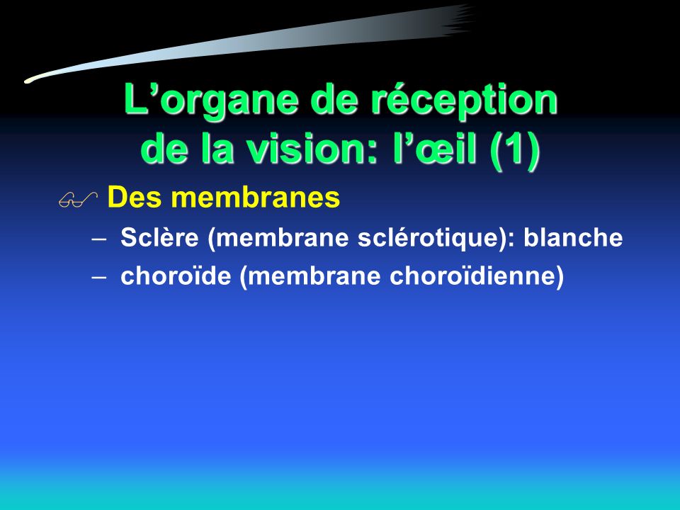 L’organe de réception de la vision: l’œil (1)