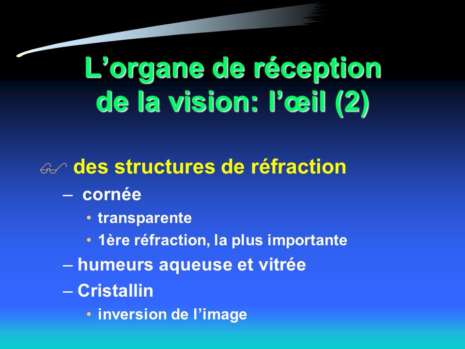 L’organe de réception de la vision: l’œil (2)