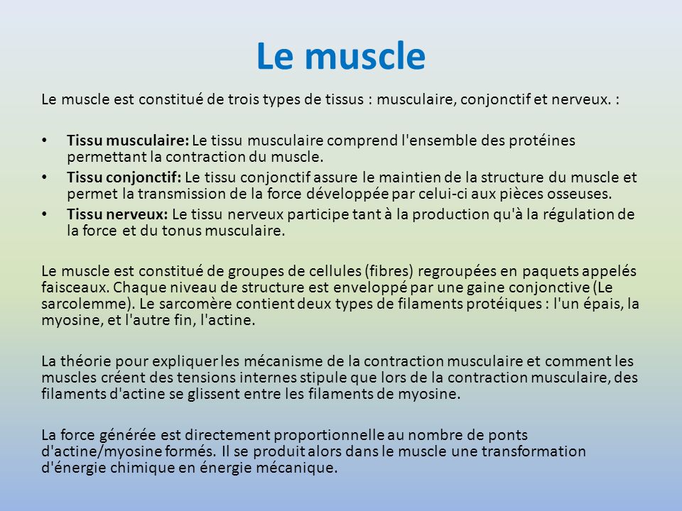 Le muscle Le muscle est constitué de trois types de tissus : musculaire, conjonctif et nerveux. :