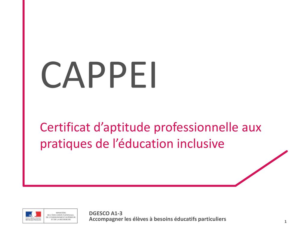 CAPPEI Certificat d’aptitude professionnelle aux pratiques de l’éducation inclusive