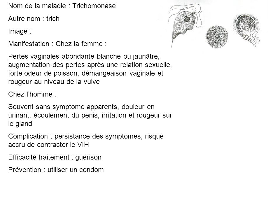 Nom de la maladie : Trichomonase