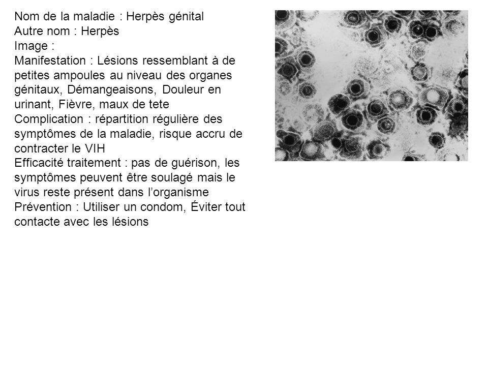 Nom de la maladie : Herpès génital