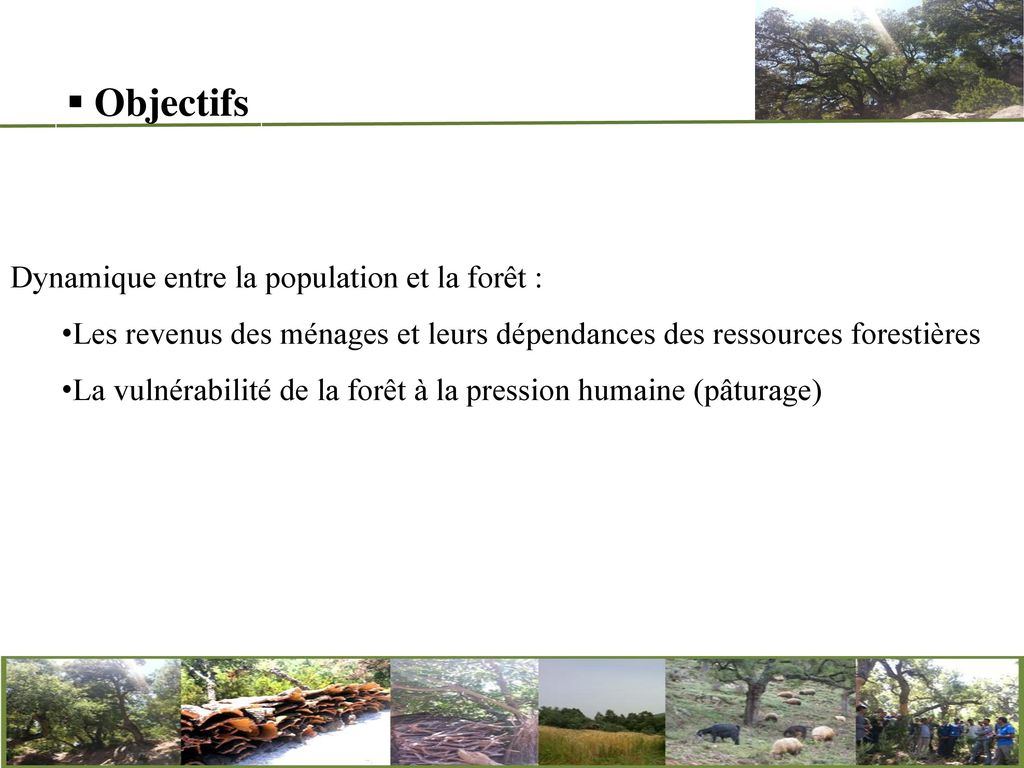 Objectifs Dynamique entre la population et la forêt :
