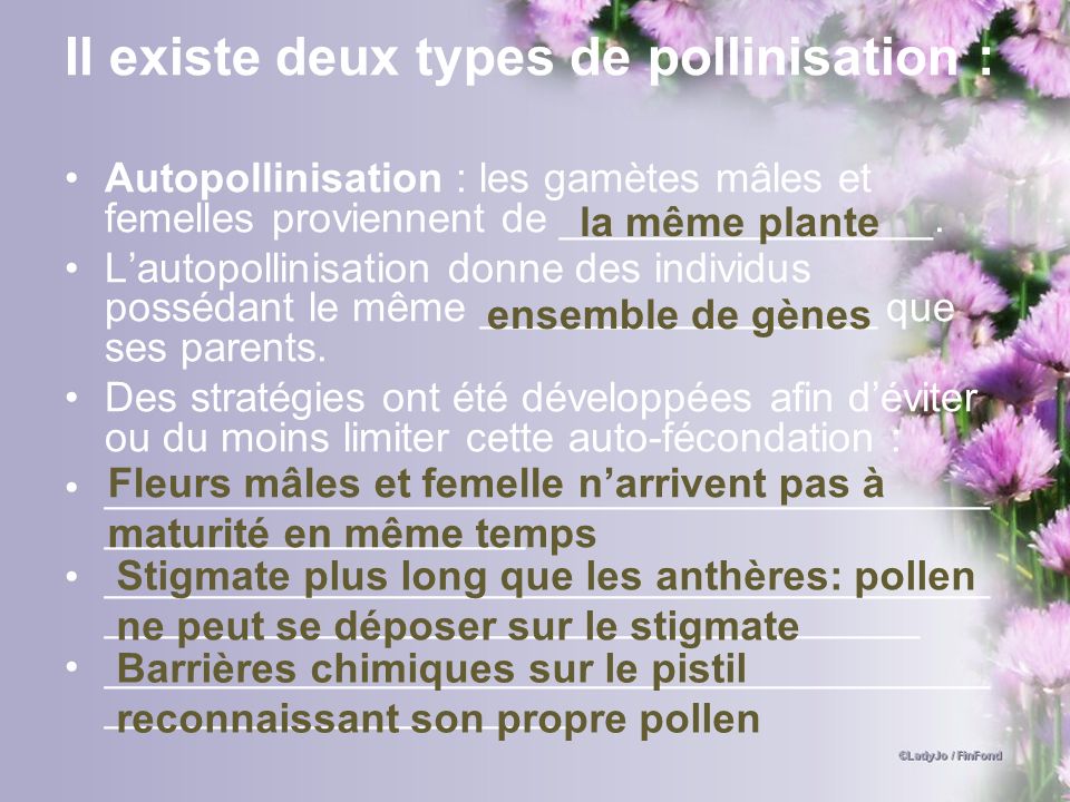 Il existe deux types de pollinisation :