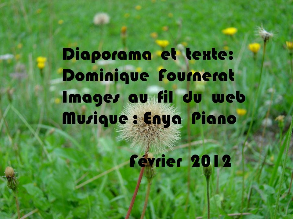 Diaporama et texte: Dominique Fournerat. Images au fil du web.