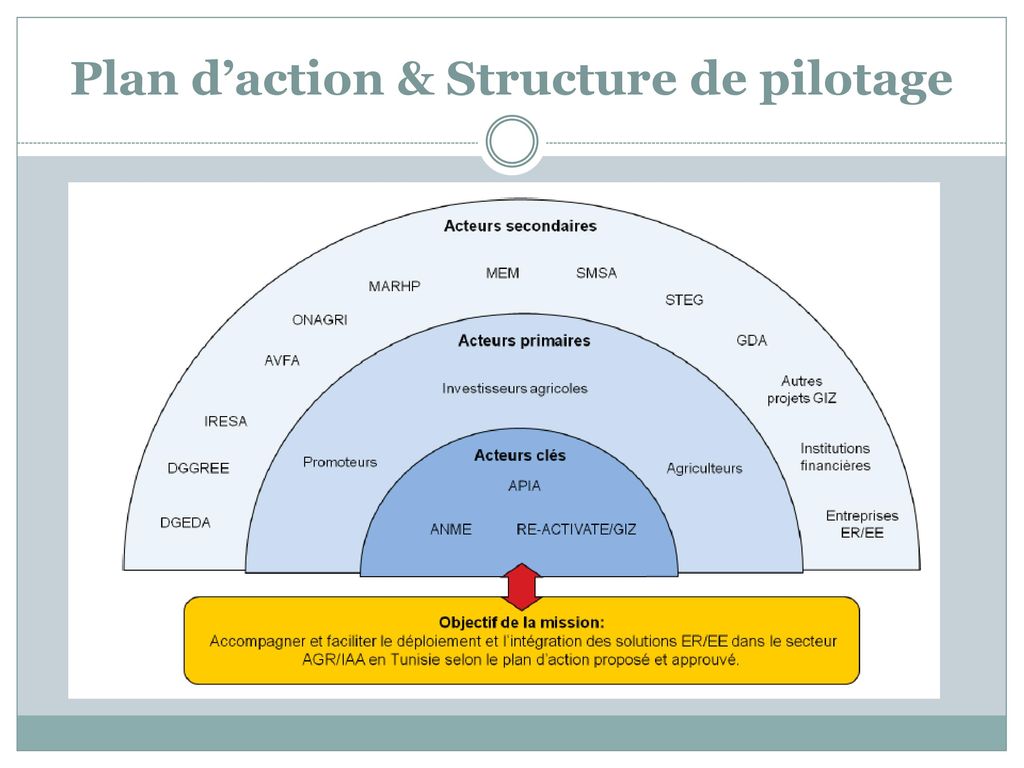 Plan d’action & Structure de pilotage