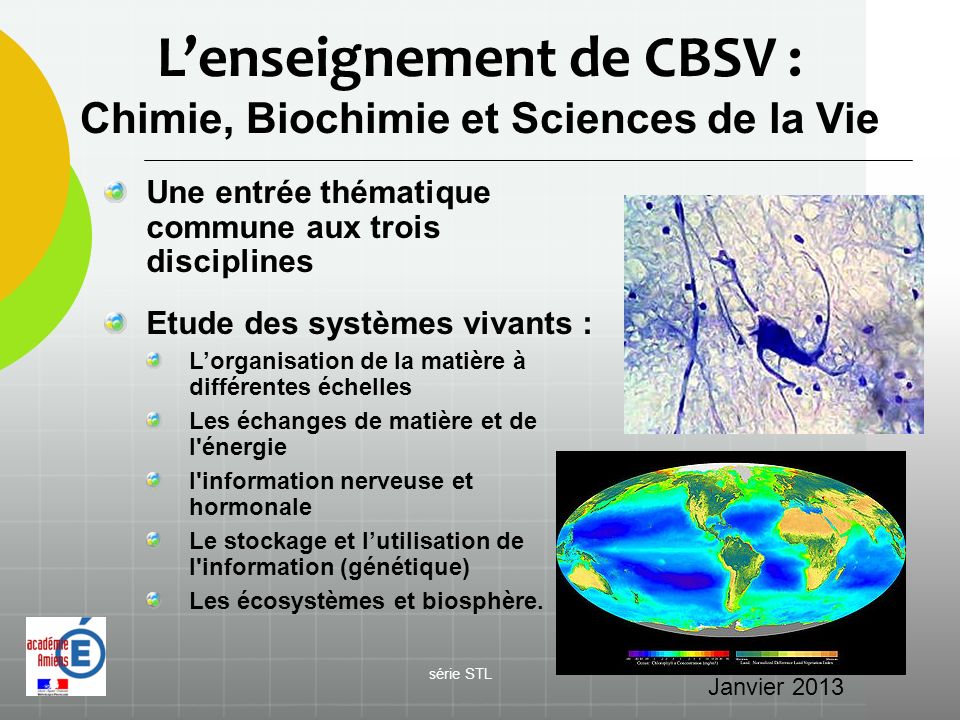 L’enseignement de CBSV : Chimie, Biochimie et Sciences de la Vie