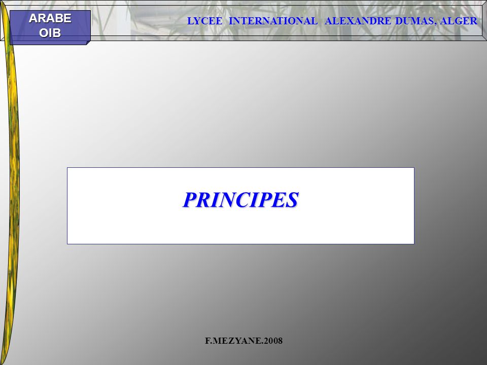 PRINCIPES F.MEZYANE.2008
