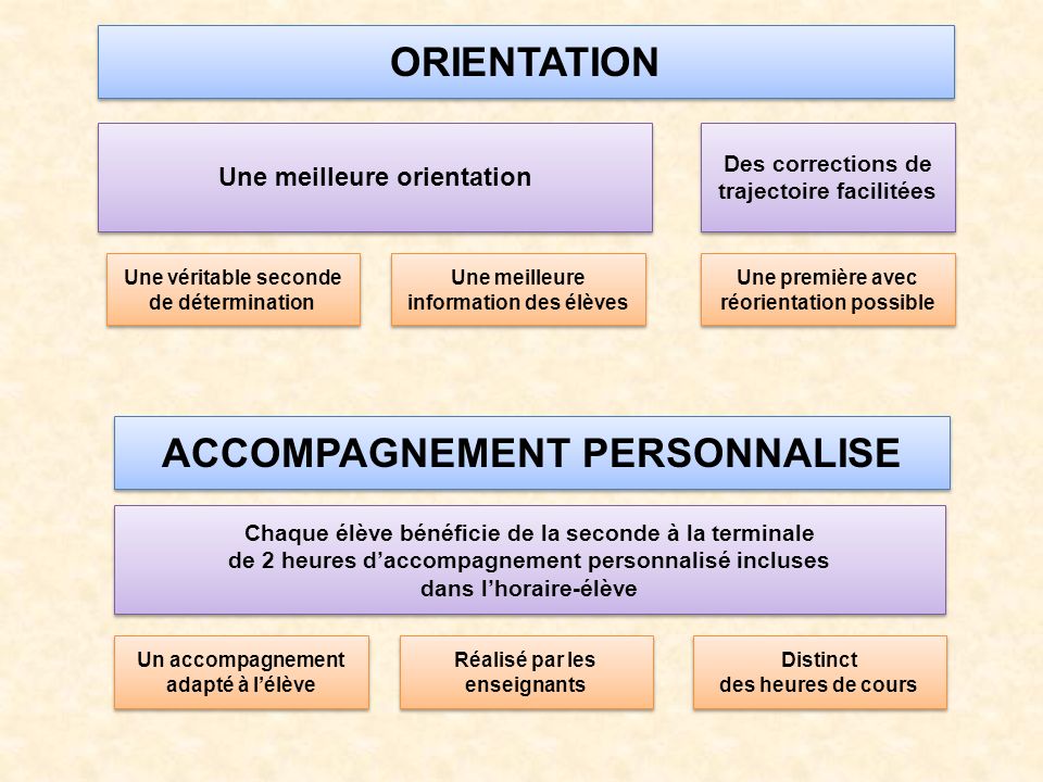 ORIENTATION ACCOMPAGNEMENT PERSONNALISE