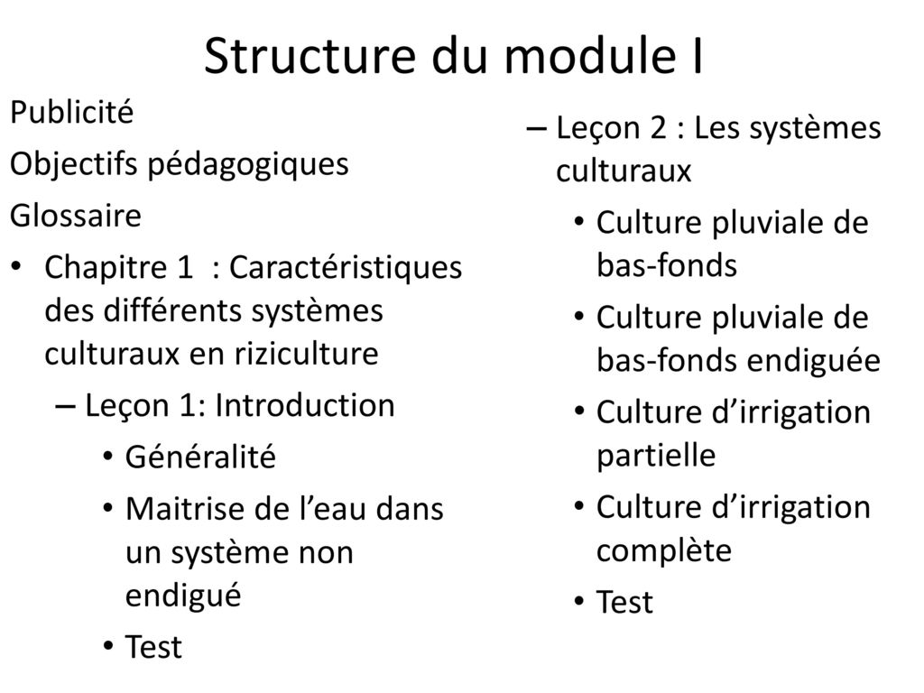 Structure du module I Publicité Leçon 2 : Les systèmes culturaux