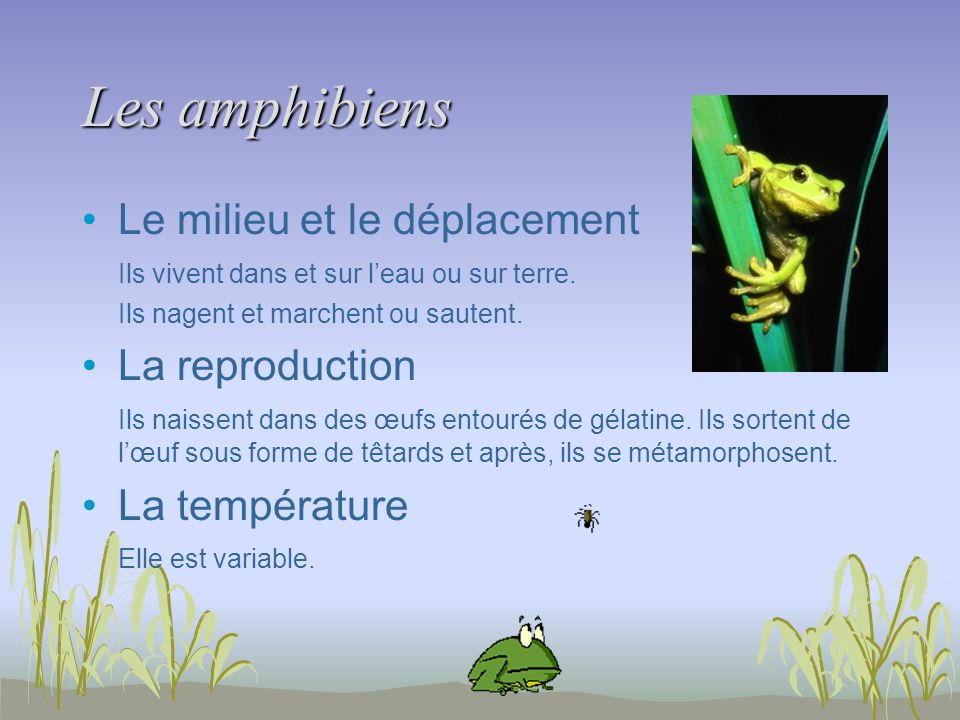 Les amphibiens Le milieu et le déplacement La reproduction