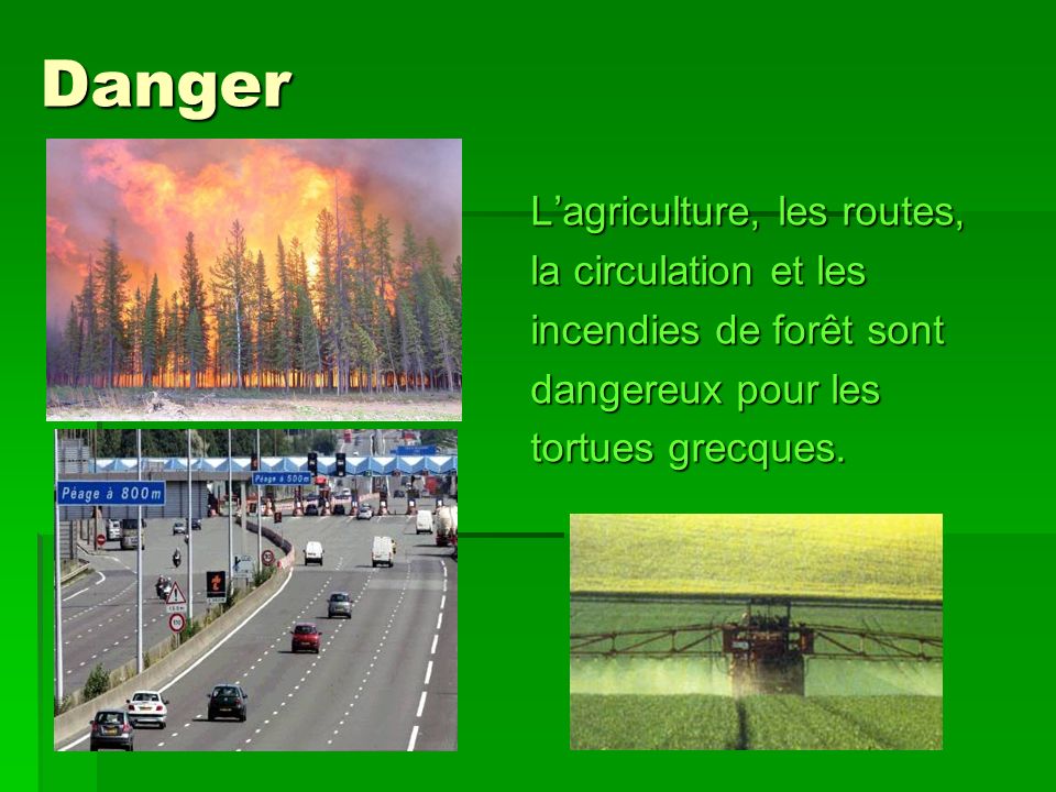 Danger L’agriculture, les routes, la circulation et les