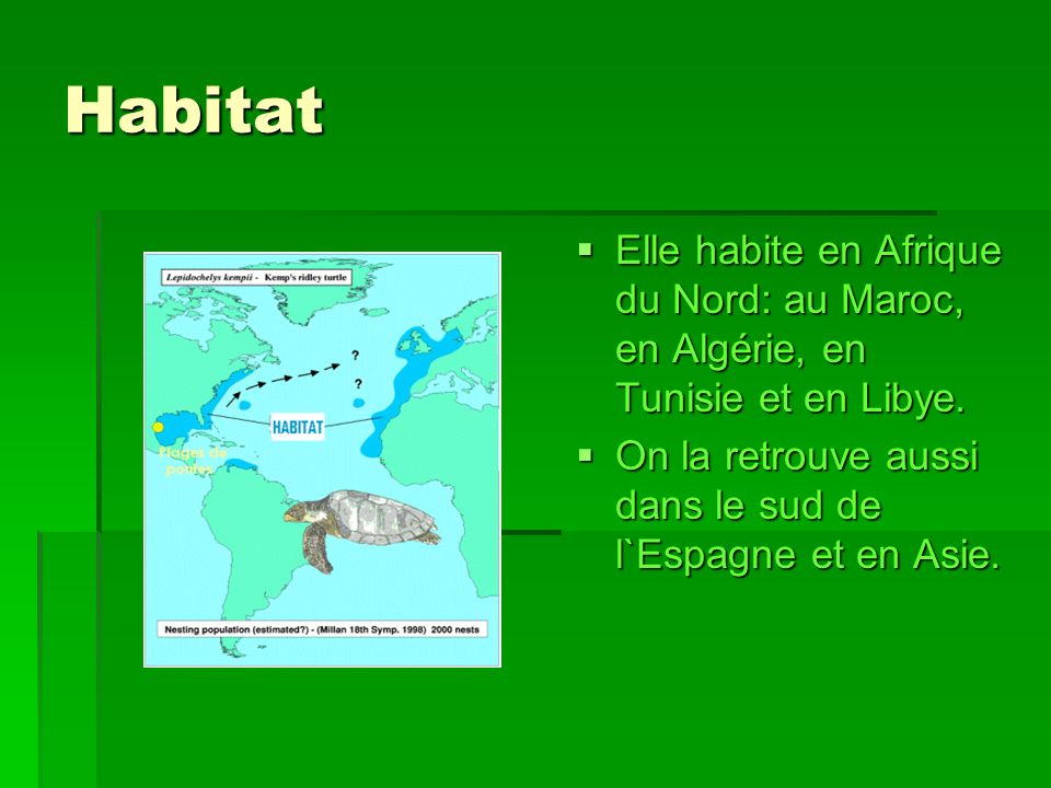 Habitat Elle habite en Afrique du Nord: au Maroc, en Algérie, en Tunisie et en Libye.