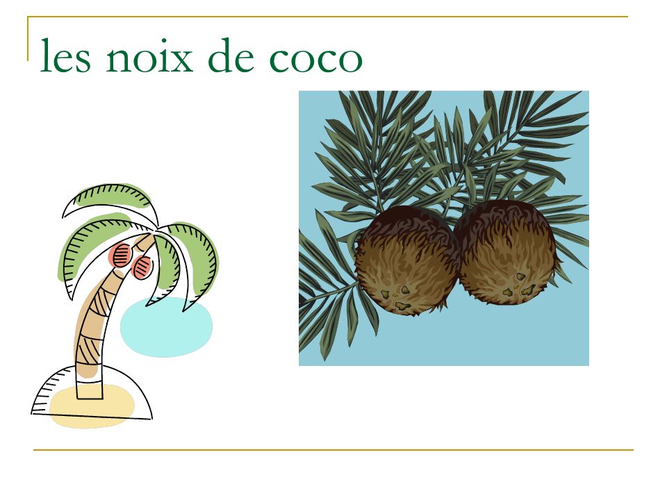 les noix de coco