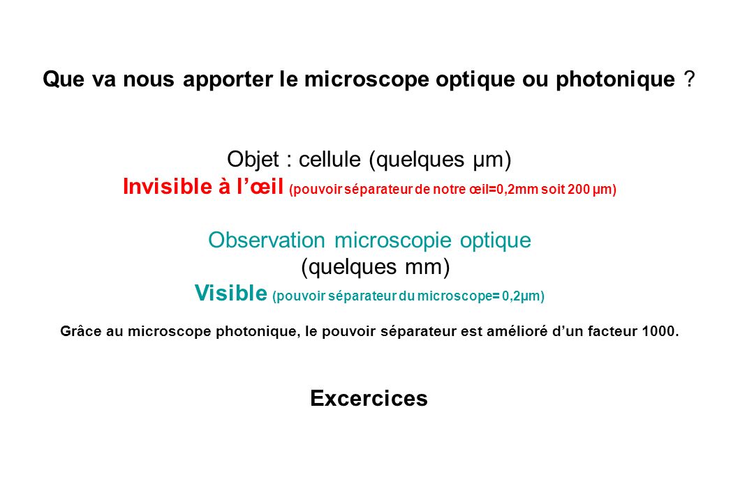 Visible (pouvoir séparateur du microscope= 0,2µm)