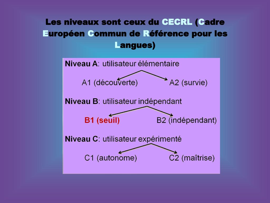 Les niveaux sont ceux du CECRL (Cadre Européen Commun de Référence pour les Langues)