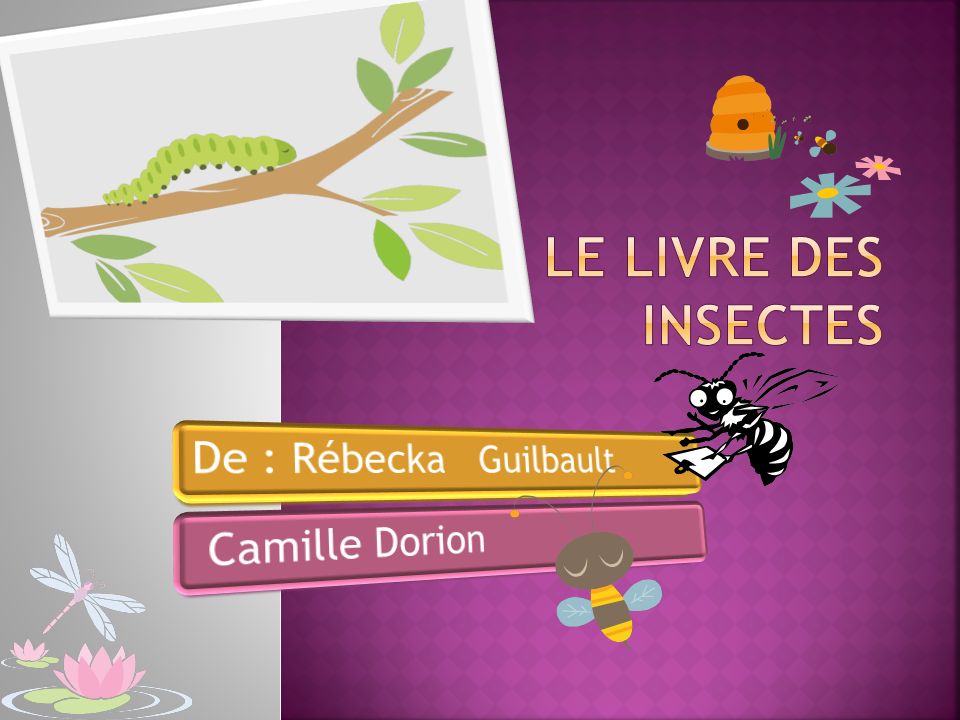 Le livre des insectes De : Rébecka Guilbault Camille Dorion