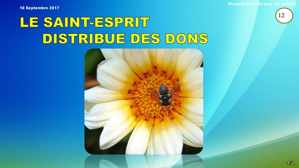 LE SAINT-ESPRIT DISTRIBUE DES DONS 12 1/2